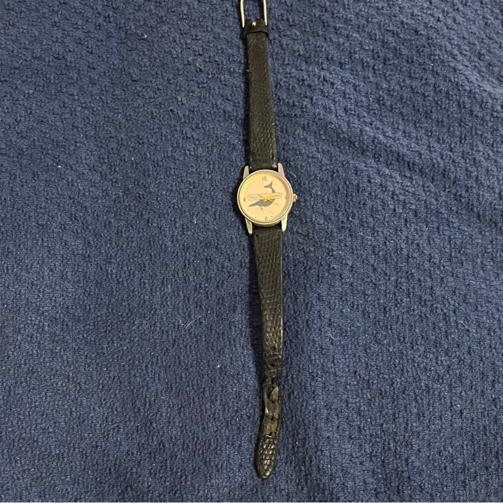 Humpback whale watch